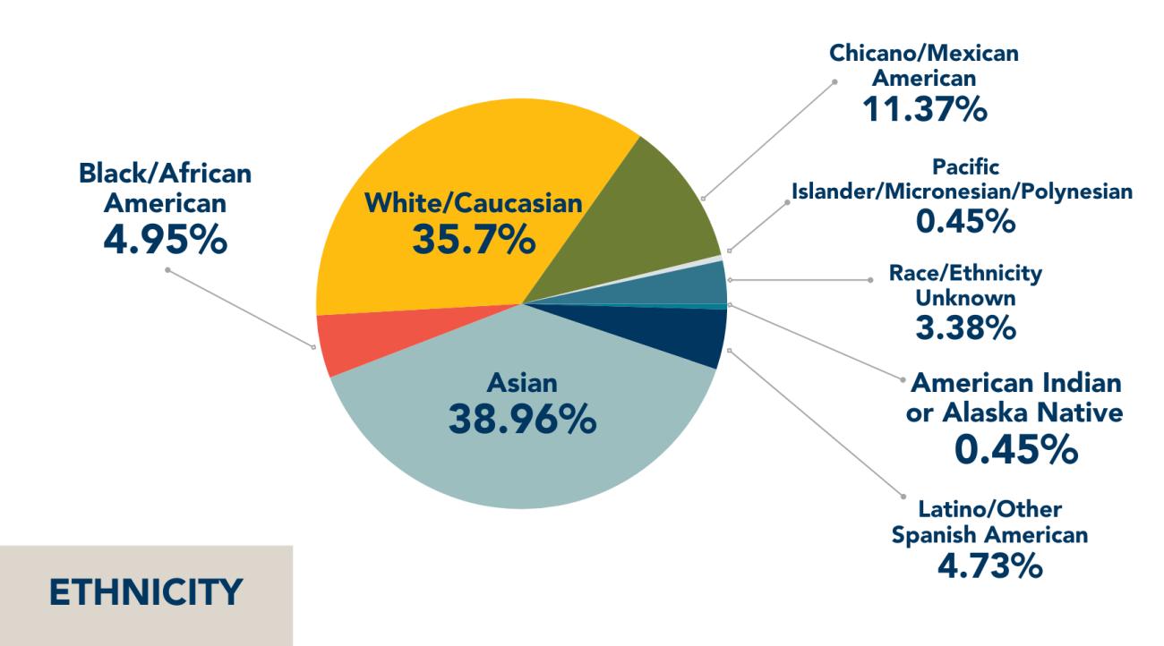 Ethnicity chart showing breakdown of different communities